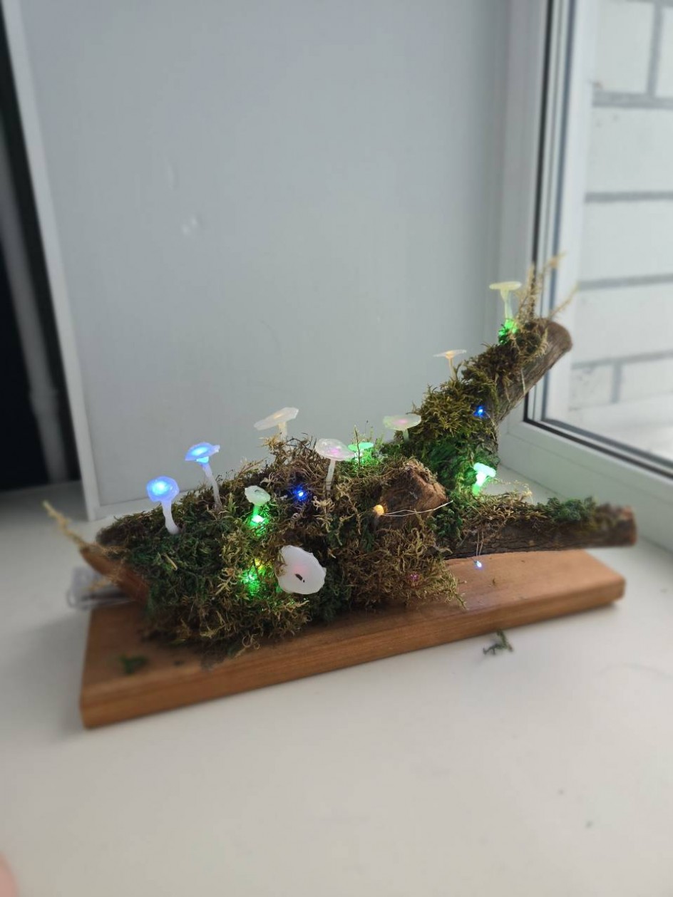 Грибная фантазия