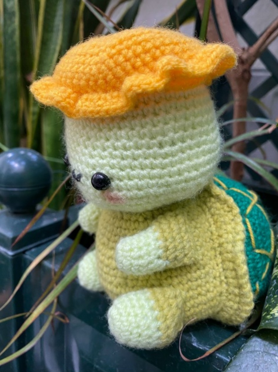 Черепаха Тортила