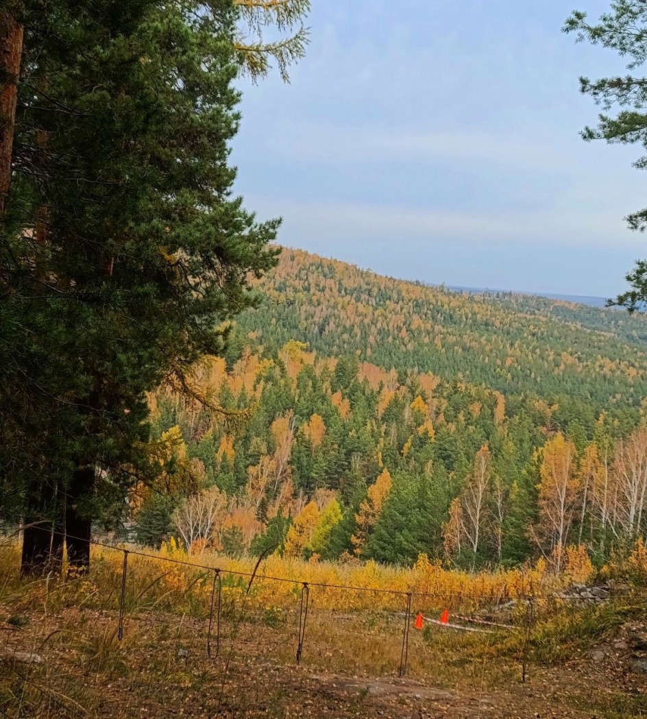 Загадочная осень в лесу!