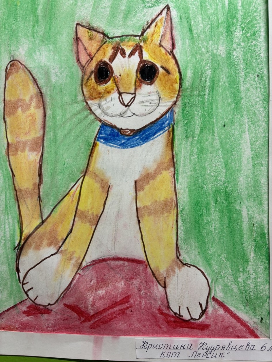 кот "Персик"