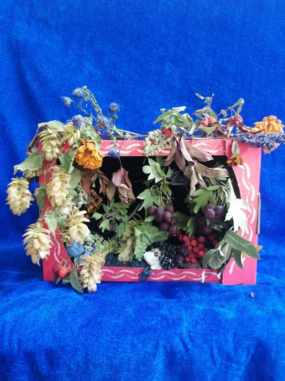 "Осенние мотивы"