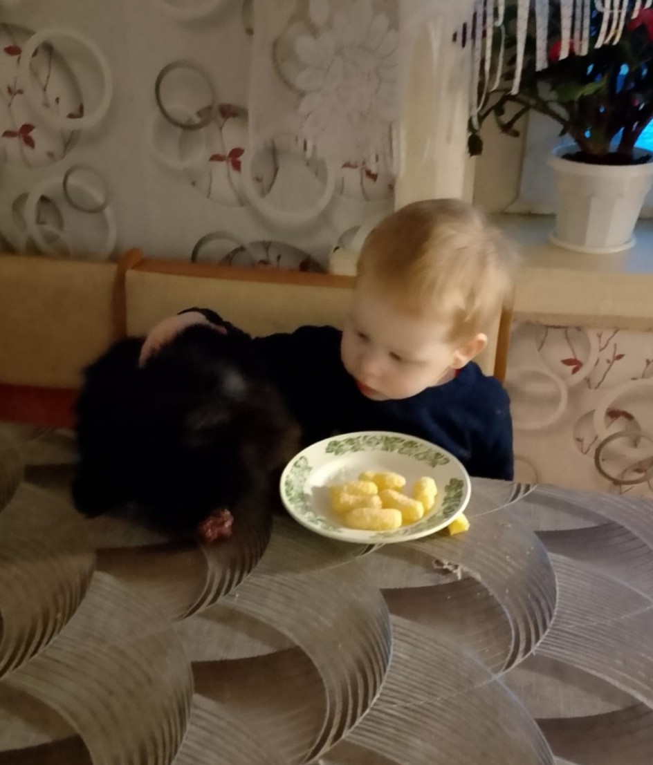 "Мы с Кузенькой вдвоём замечательно живём"