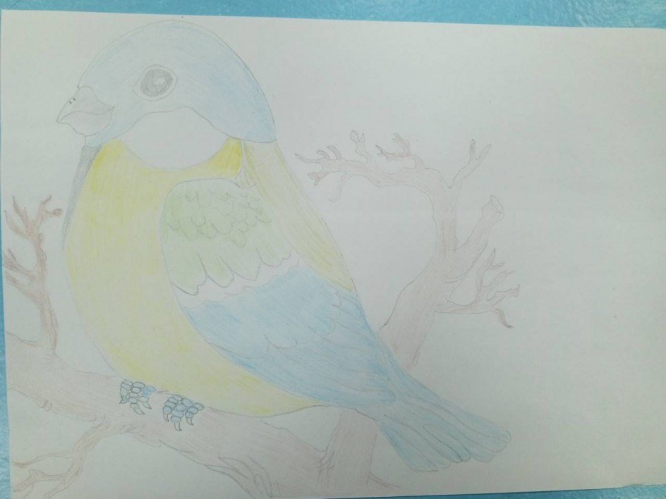 Синица на ветке.