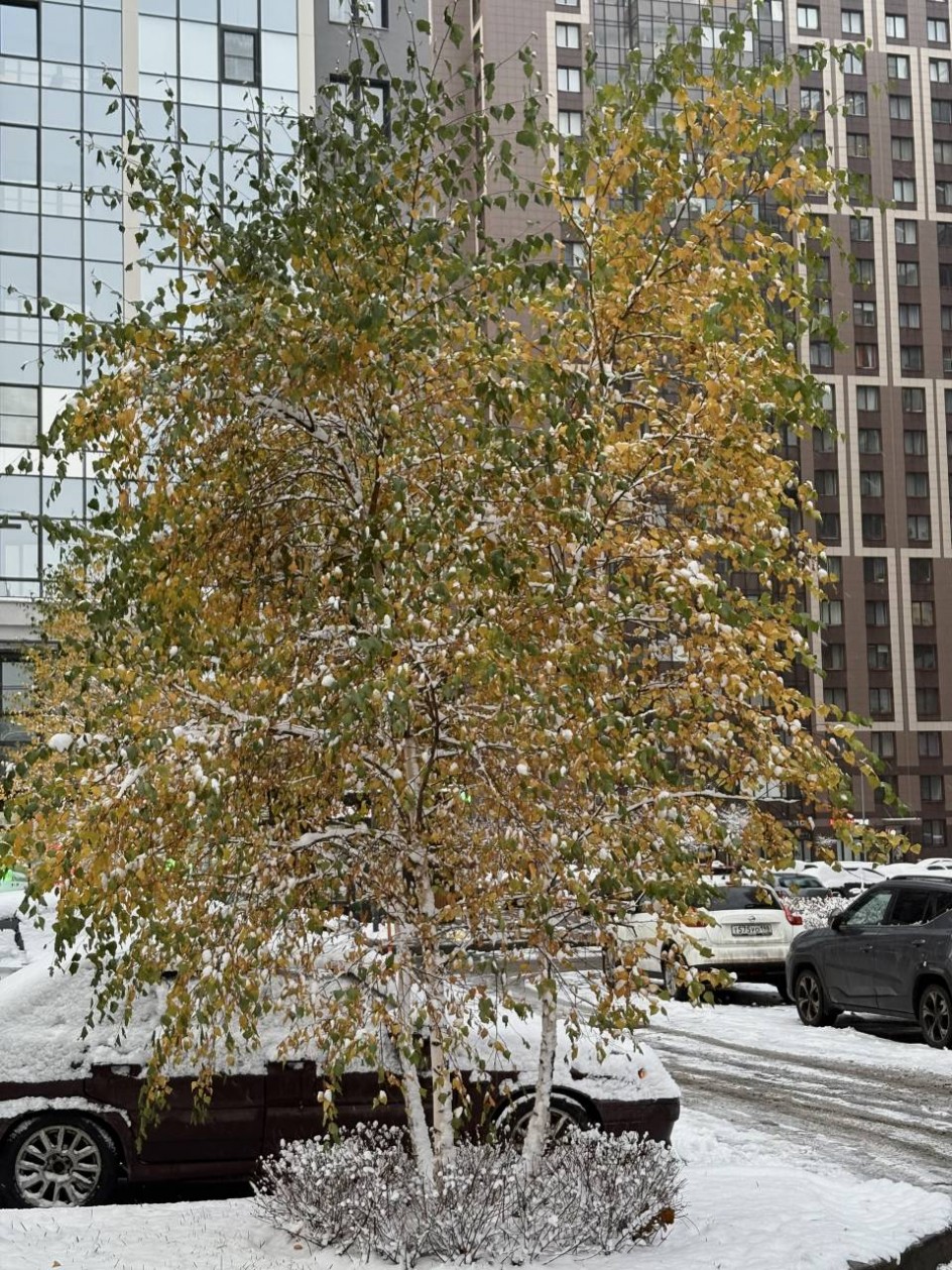 «Три сезона в одном кадре»