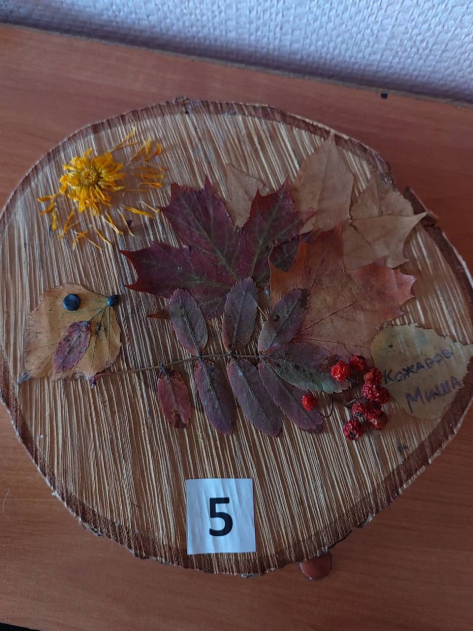 Птенчик на ветке