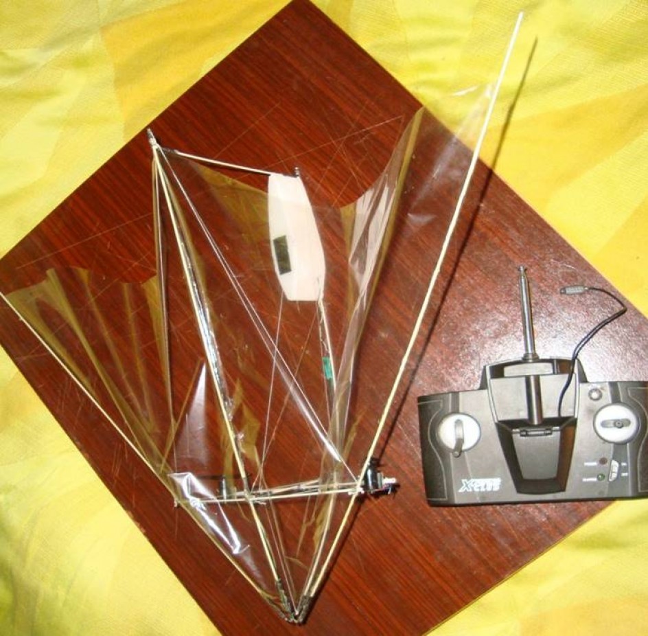 Экспериментальная радиоуправляемая летающая авиамодель «РОГАЛЛО»