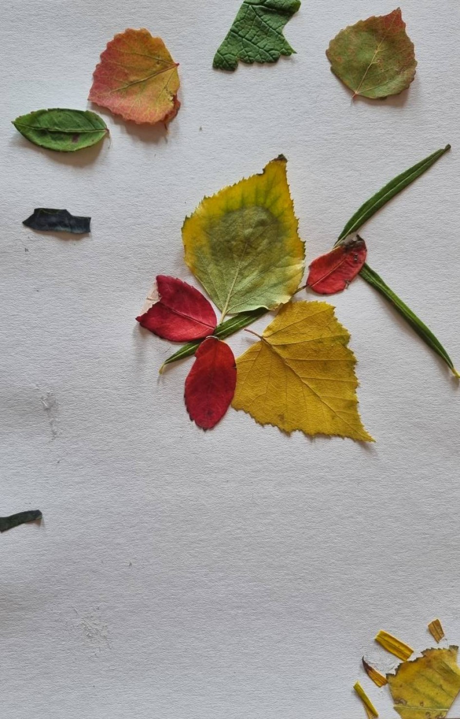 Осенняя бабочка