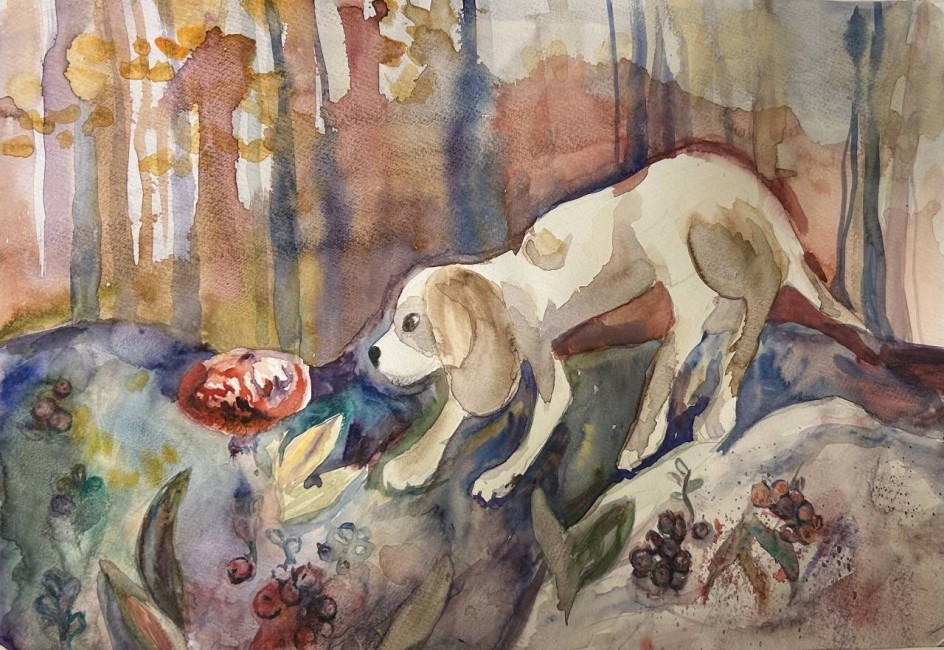 На прогулке в лесу