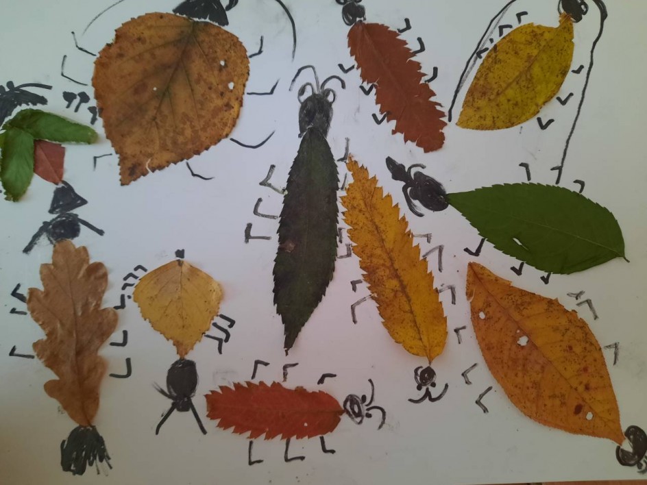 Сентябрята -жуки