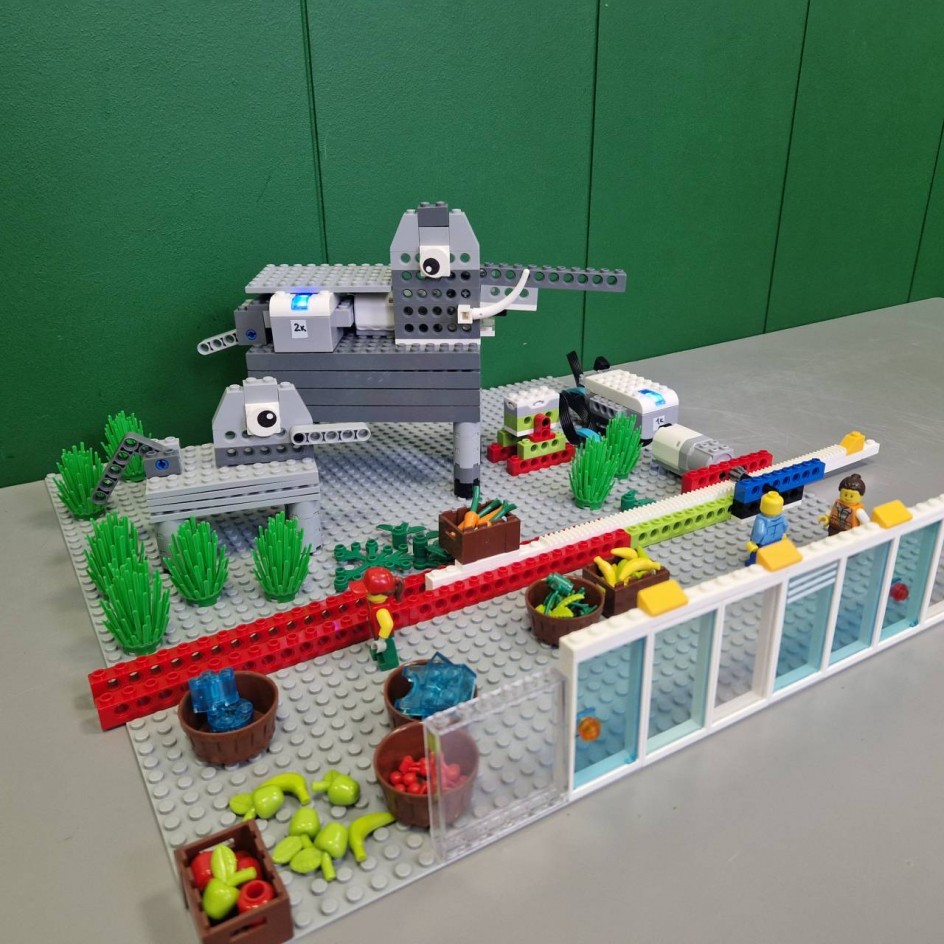 Проект "Мир слонов"