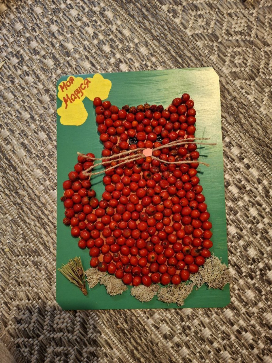 Моя кошка Маруся