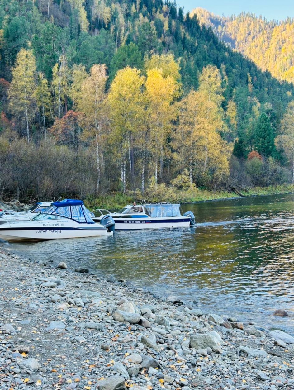 Золотая осень Алтая