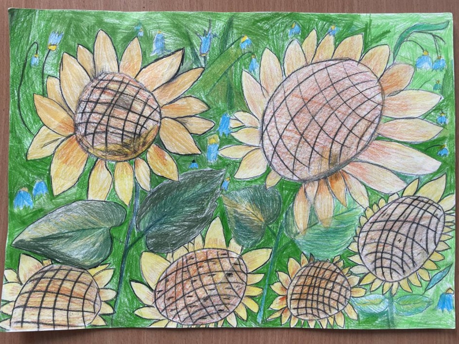 Подсолнухи