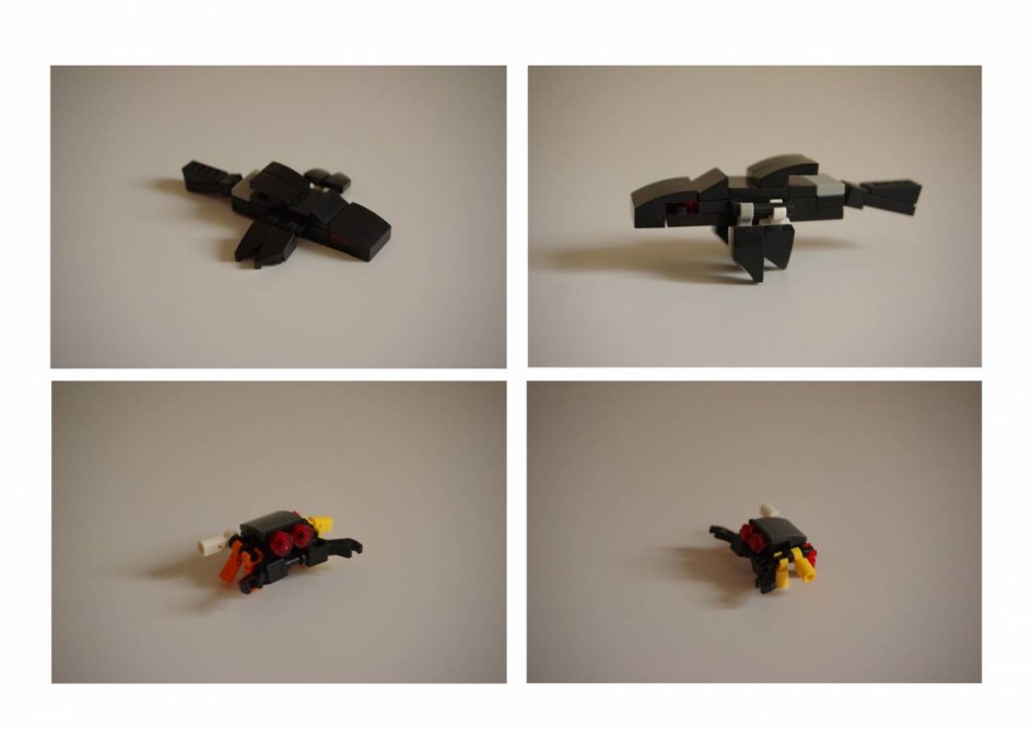 Черная птица и краб