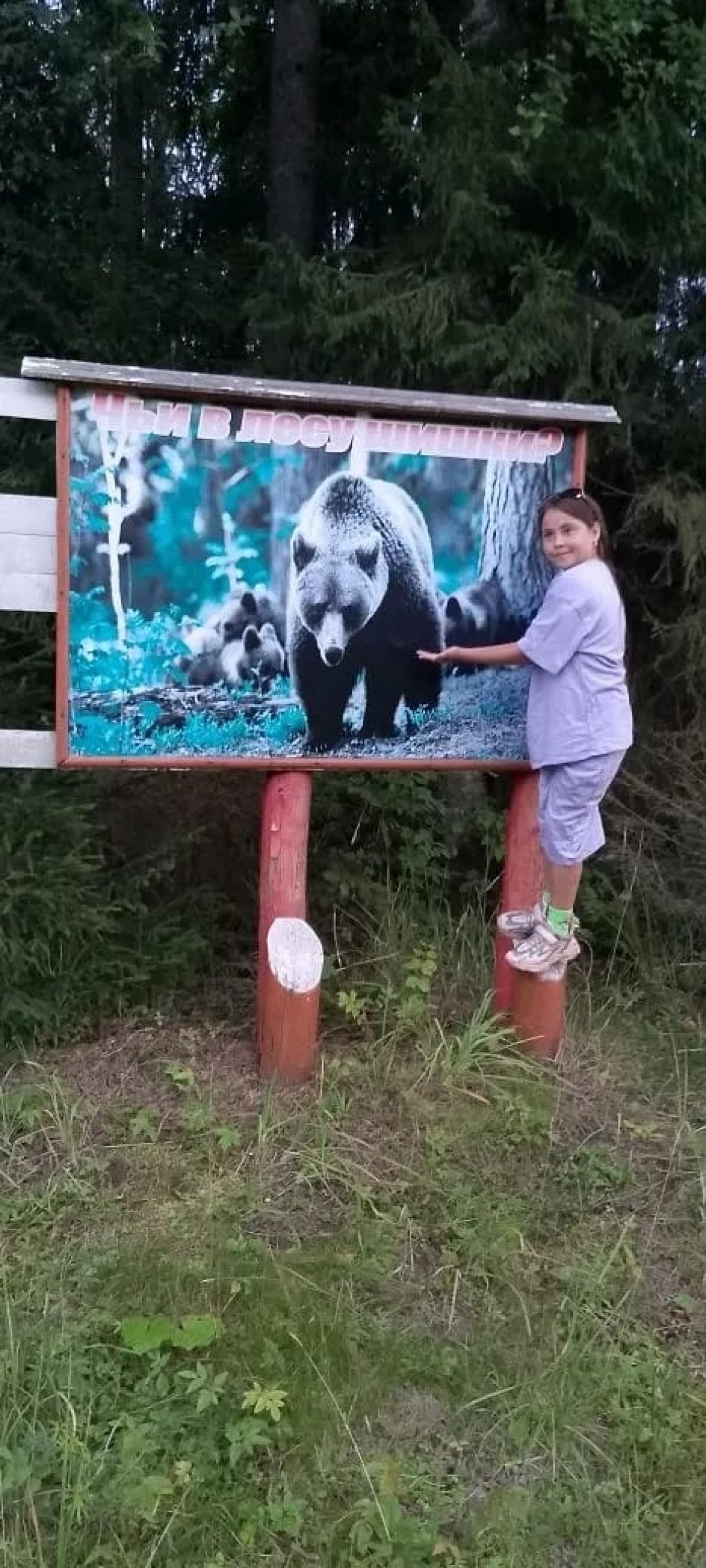 Осторожно, водитель!