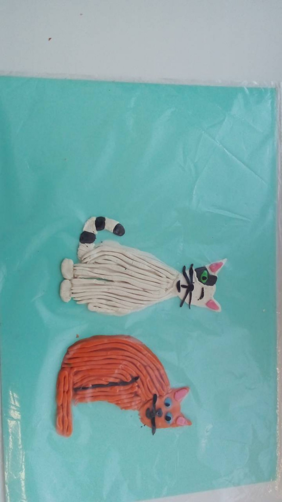 Мои любимцы