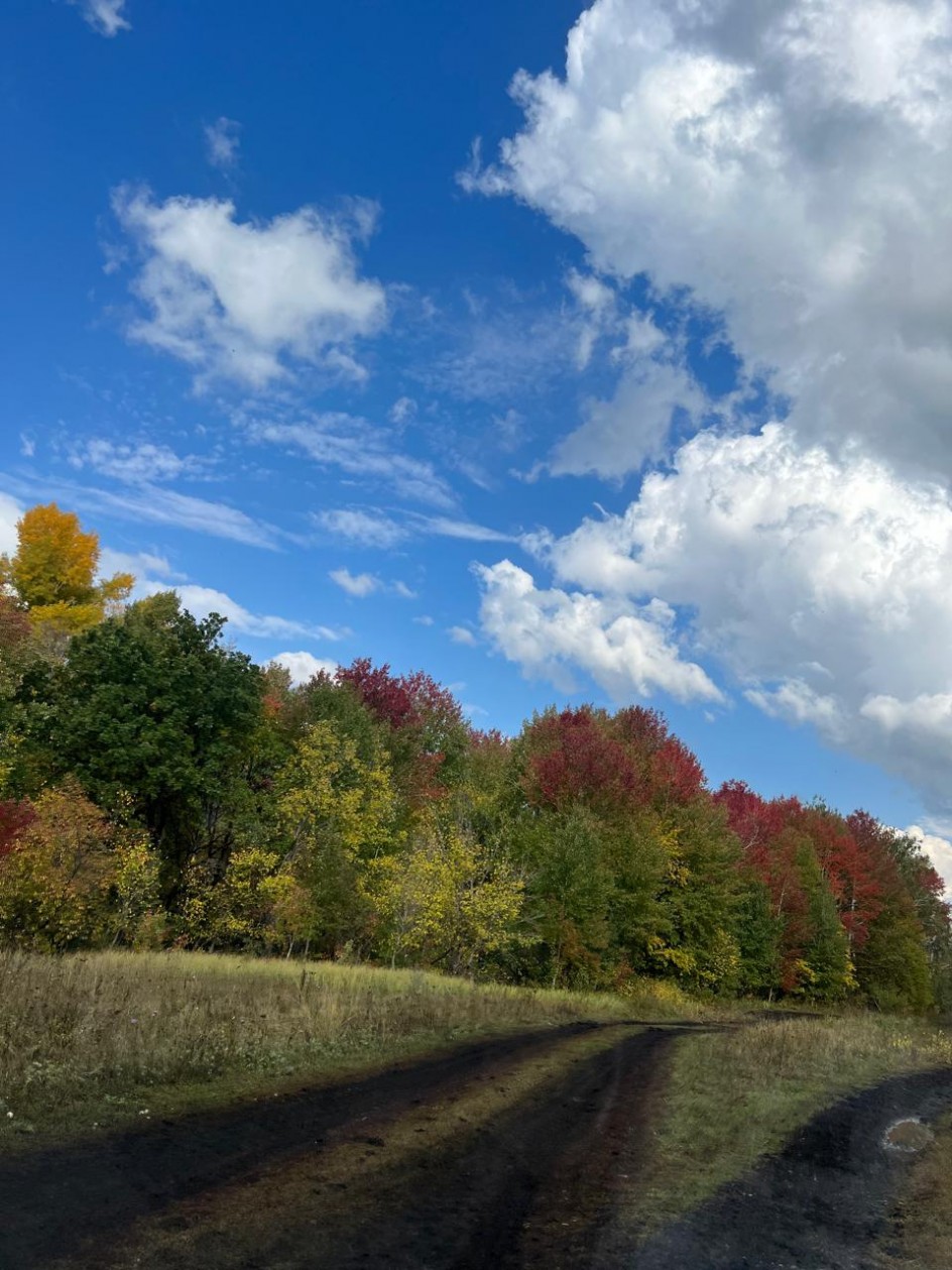 Палитра осени