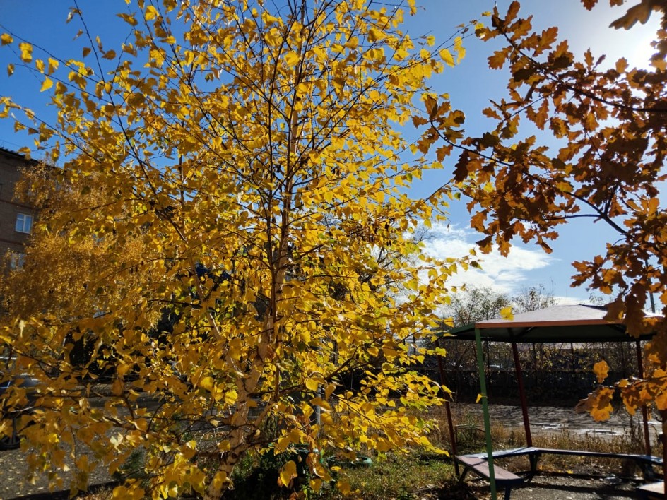 Солнышко от осени