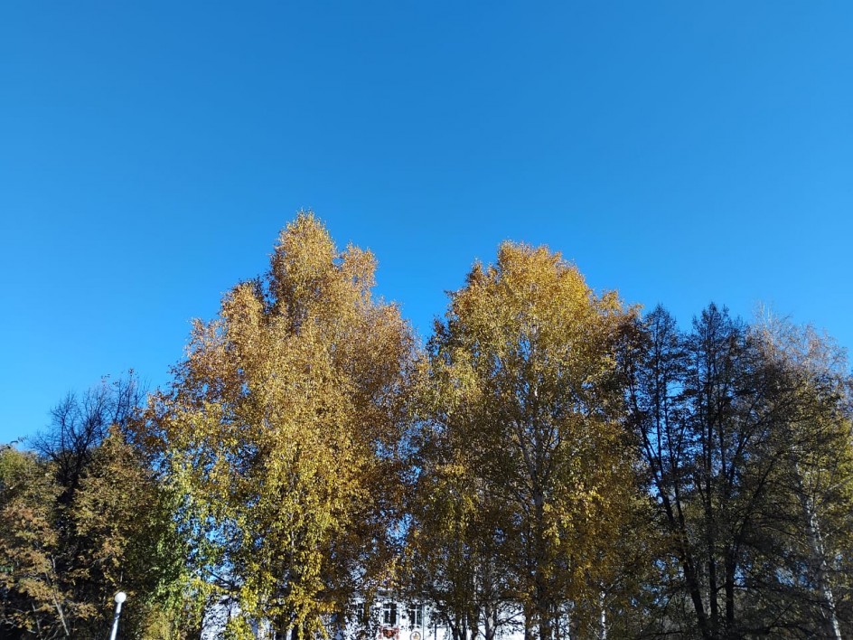 Яркие краски нашей осени