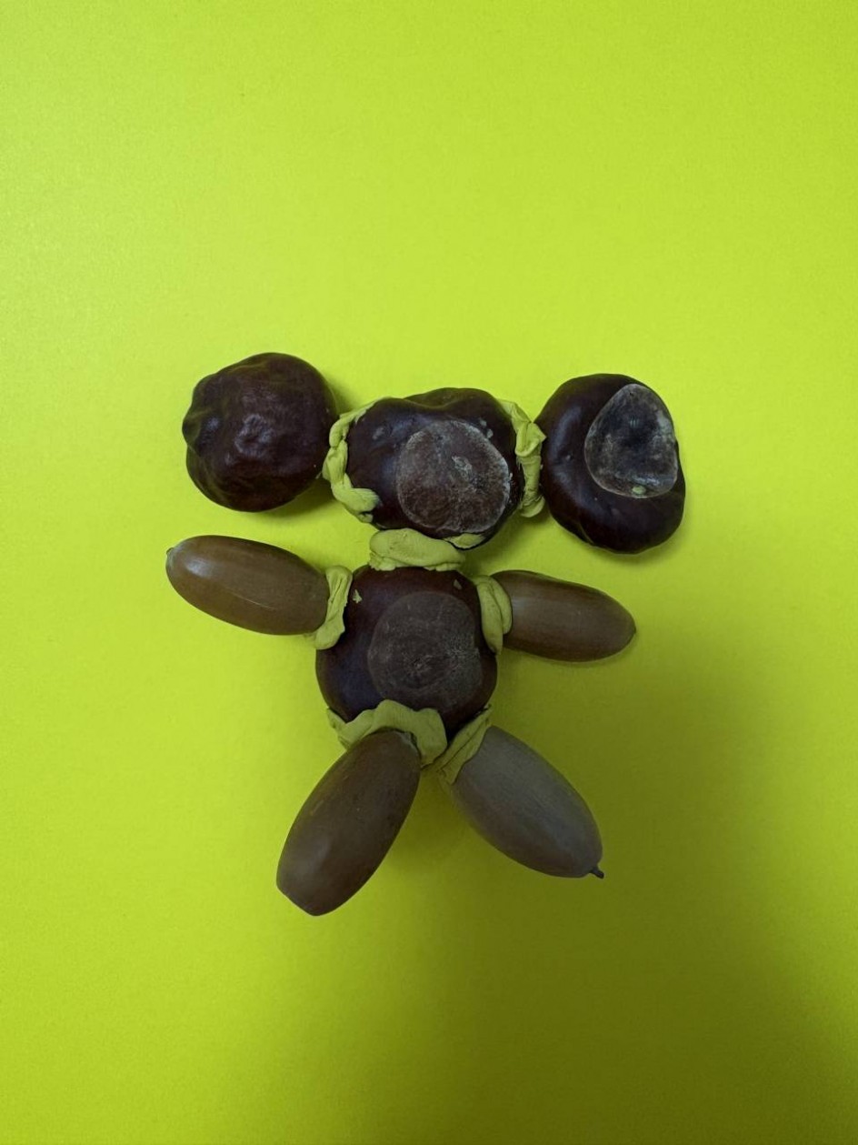 «Чебурашка из каштанов»