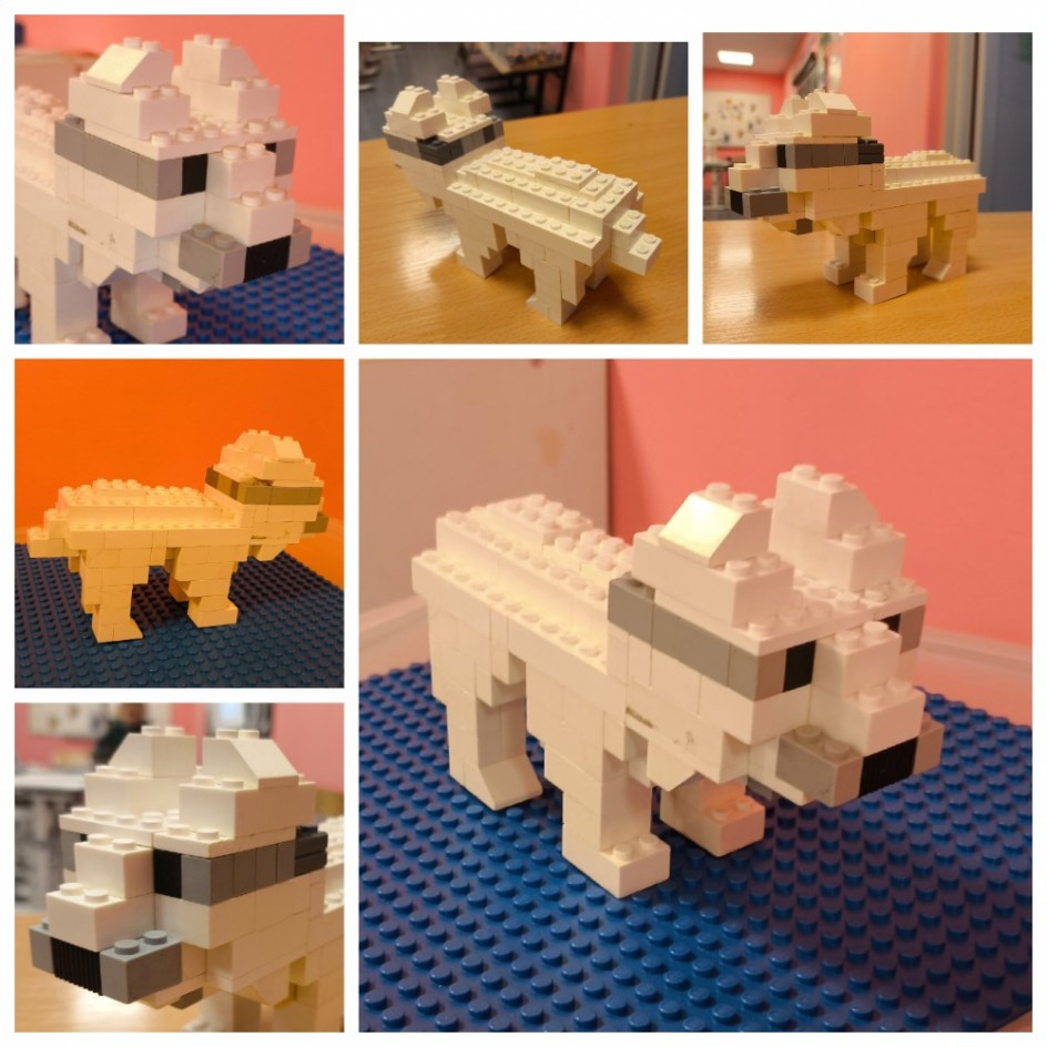 Белая медведица