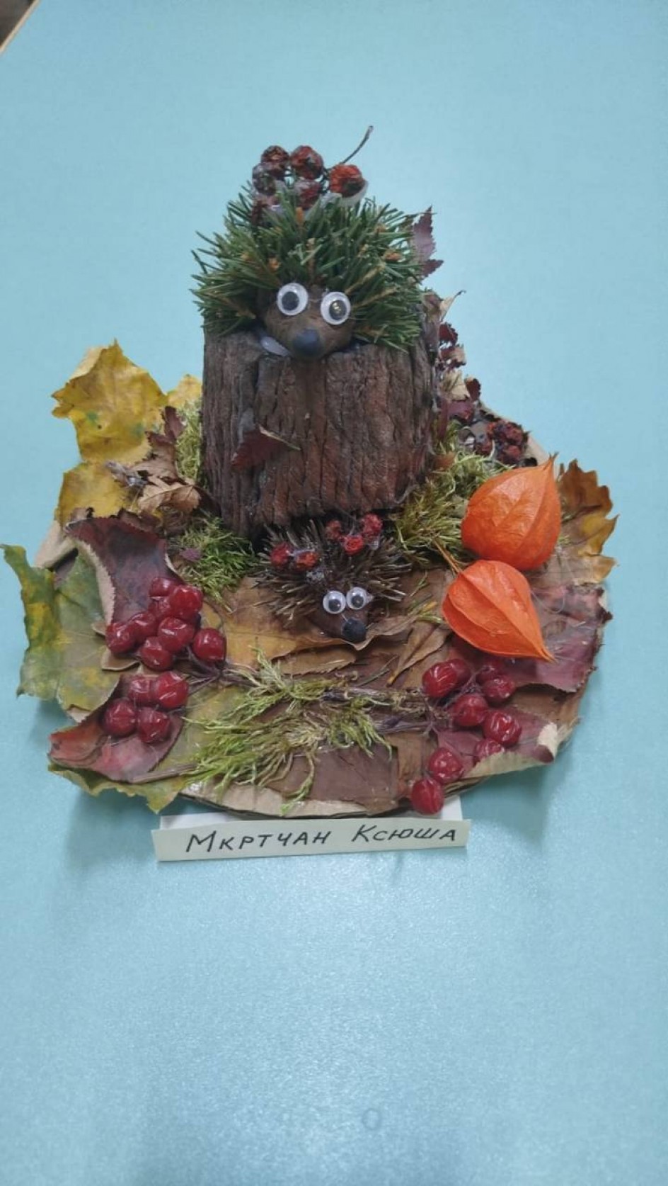 Ежики готовятся к зиме