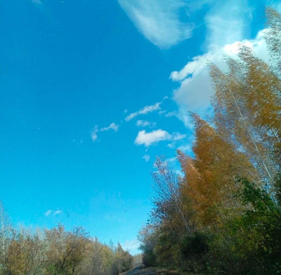 дорога  в осень