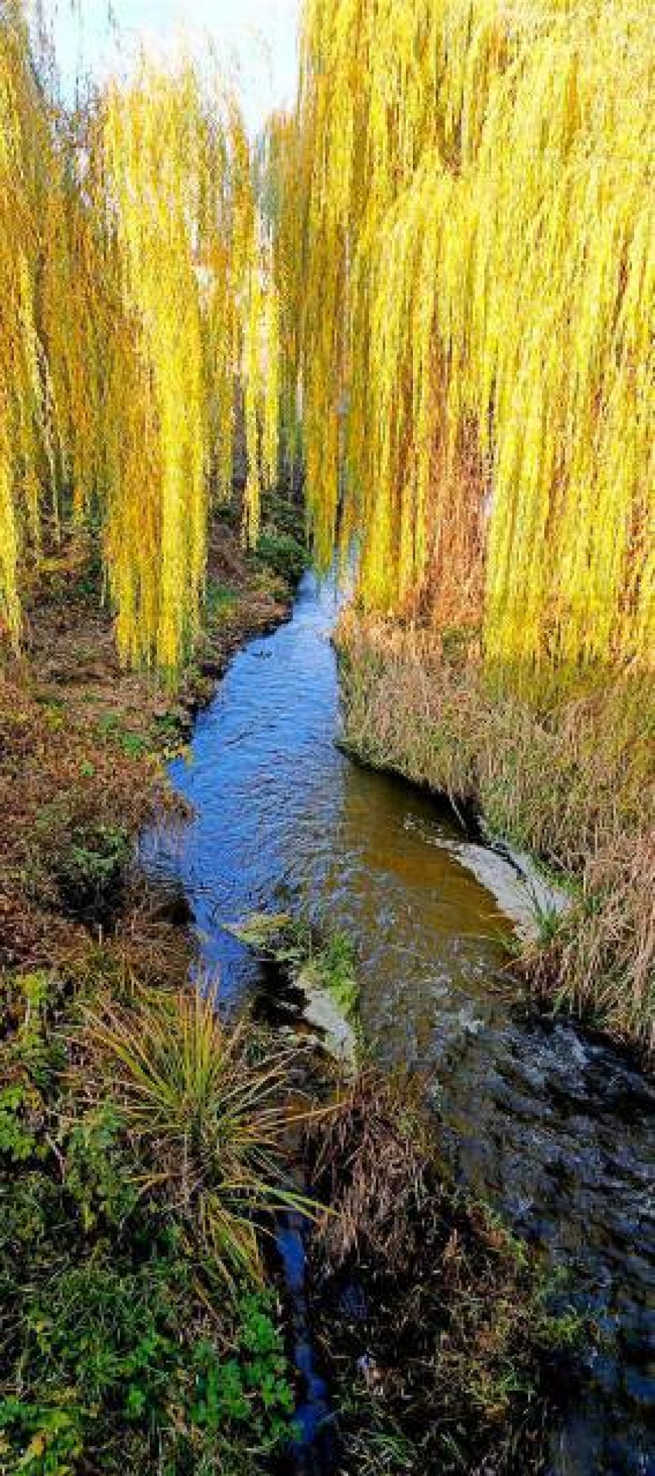 Краски осени