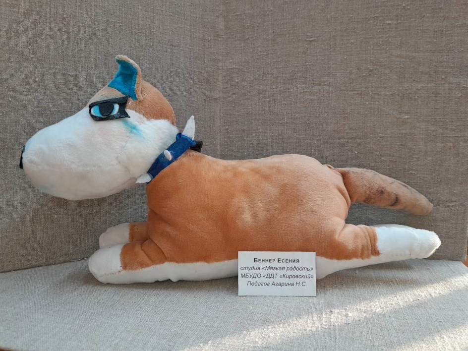 Щенок в ошейнике