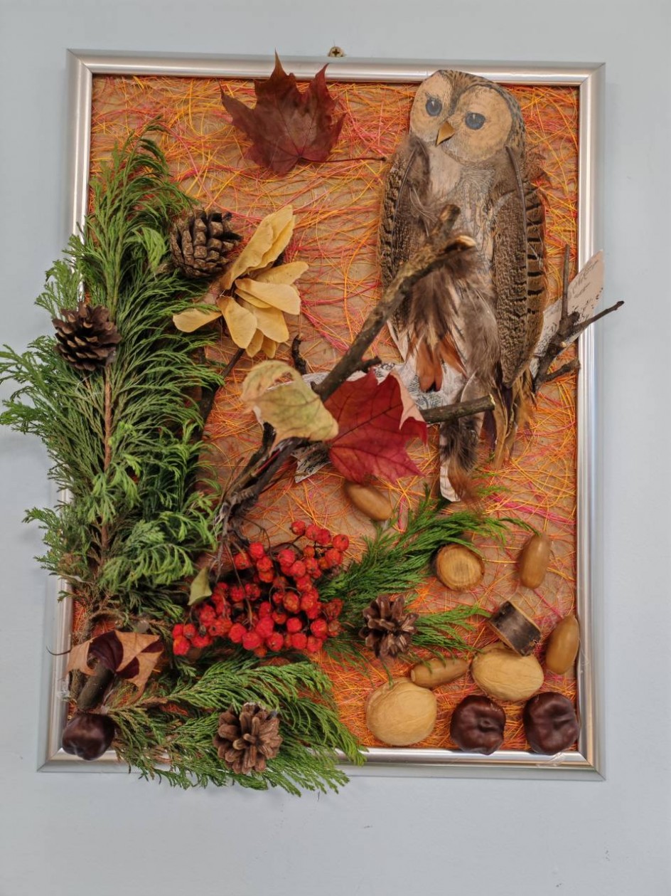 Мудрая совушка