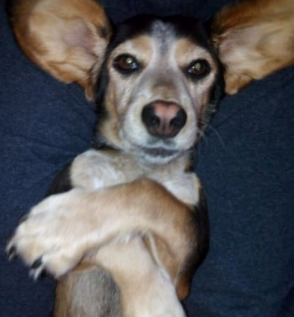 "Не могу поверить, что я это сделал"