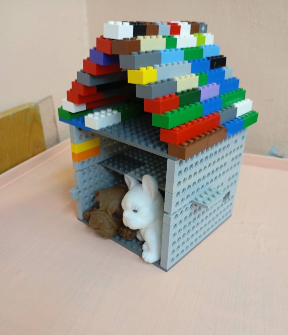 дом для любимых питомцев