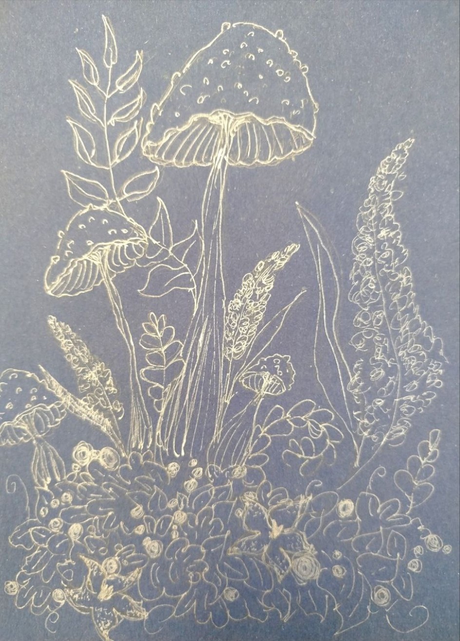 "Сказочные грибы"