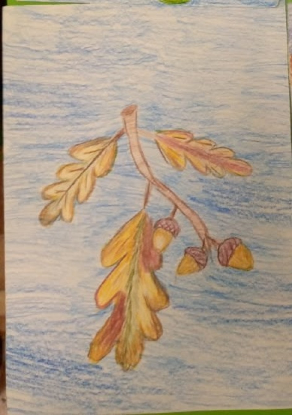 "Ветка дуба. Осень"