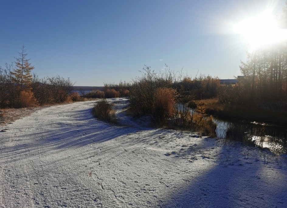 Первый снег