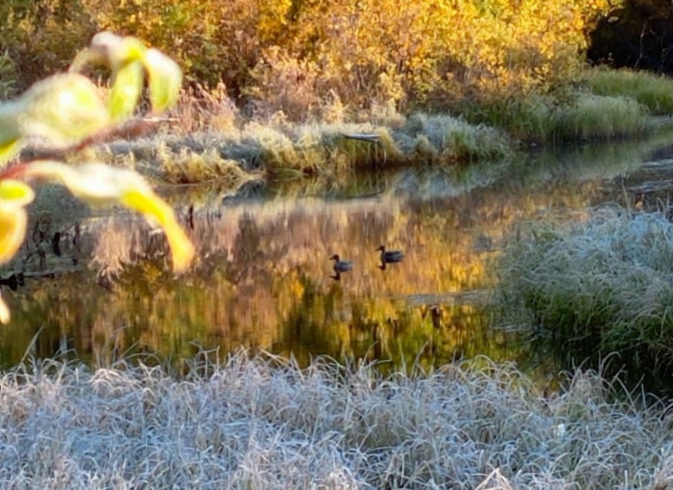 Тихое морозное утро