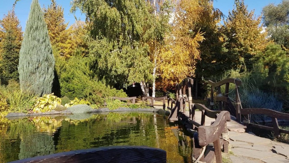 Осень в парке