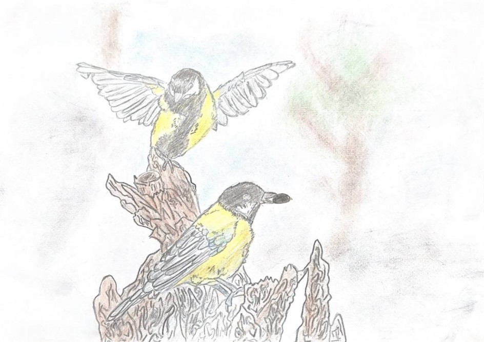 Две синички - две сестрички