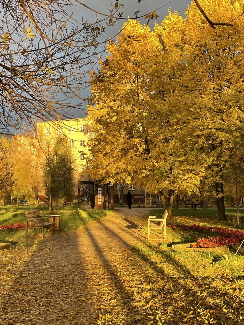 Осенний закат в сквере Водников