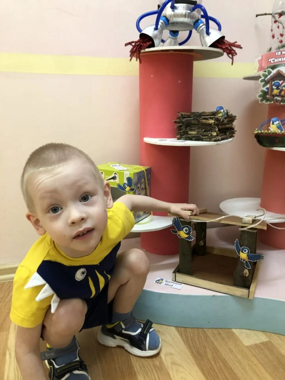 "Столовая для пернатых"