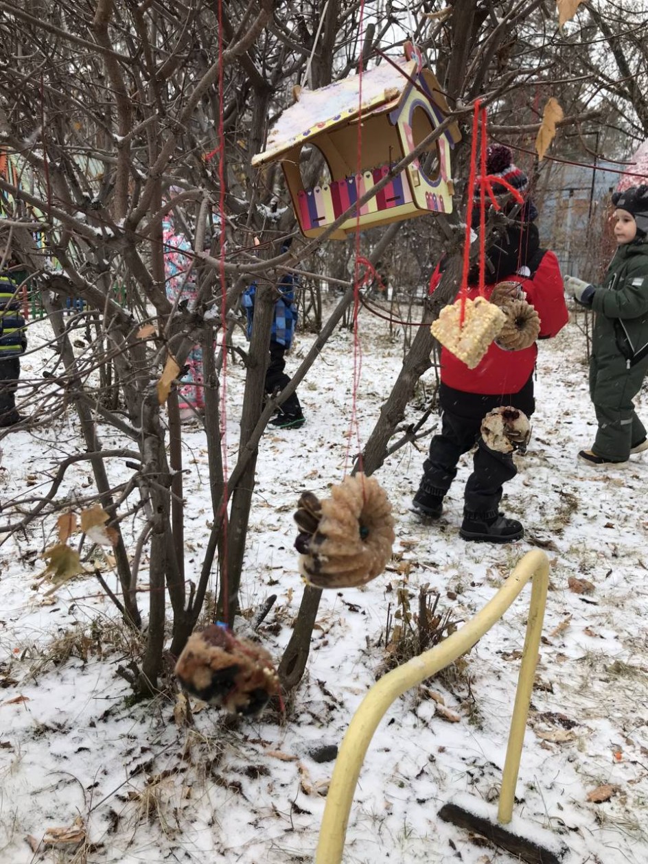 «Угощение для пернатых друзей»
