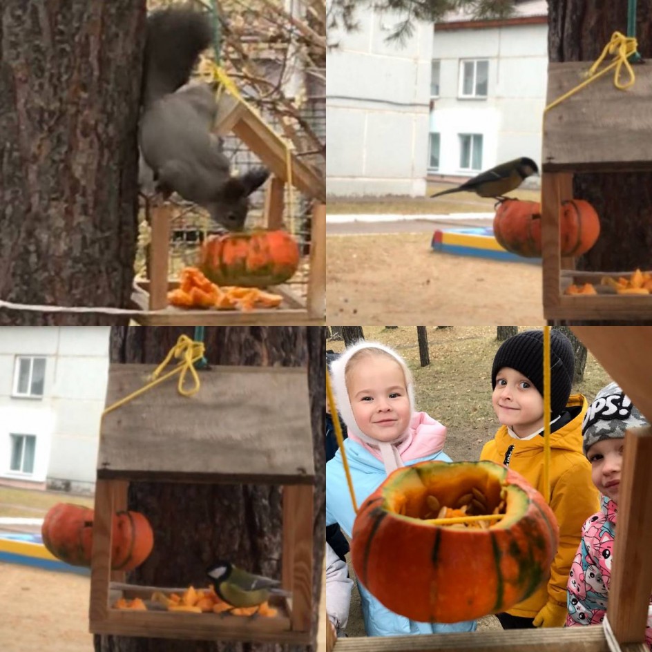 «Наши соседи»