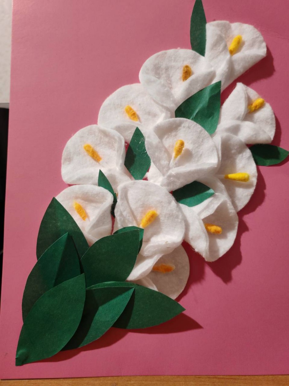 Каллы-белые цветы