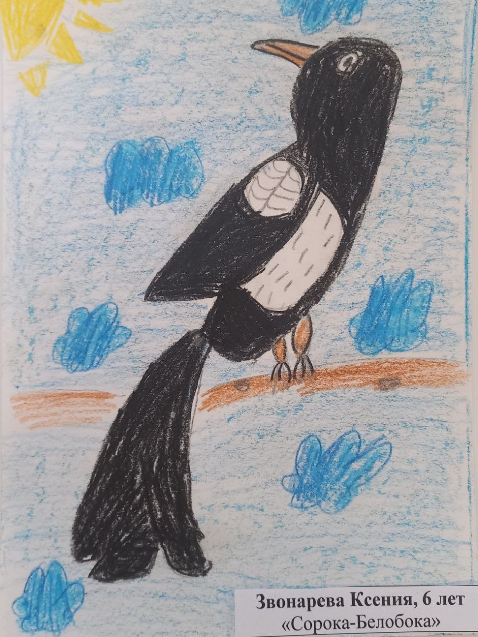 Сорока-Белобока