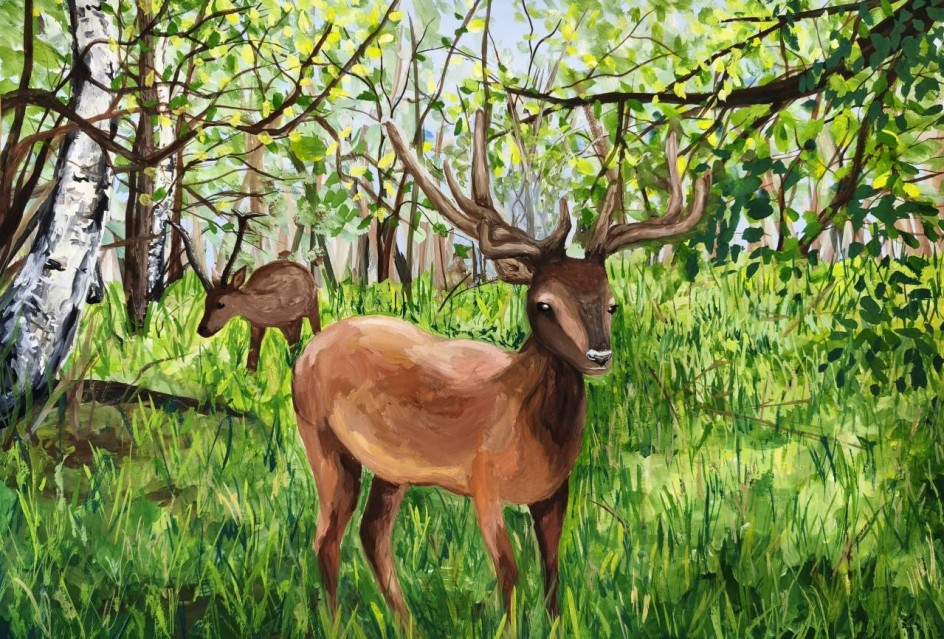 Олени в заповеднике Кузнецкий Алатау