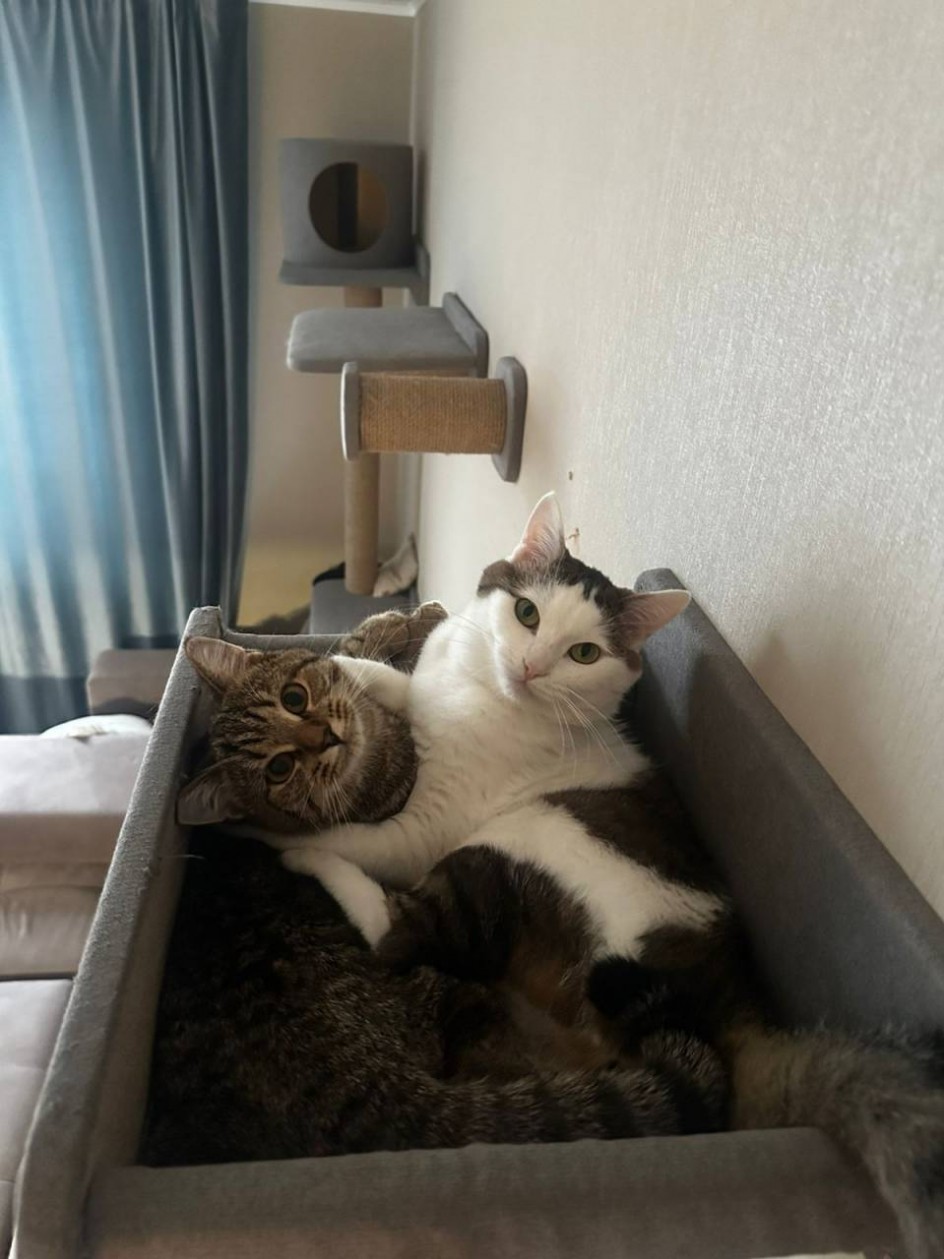 Родные души