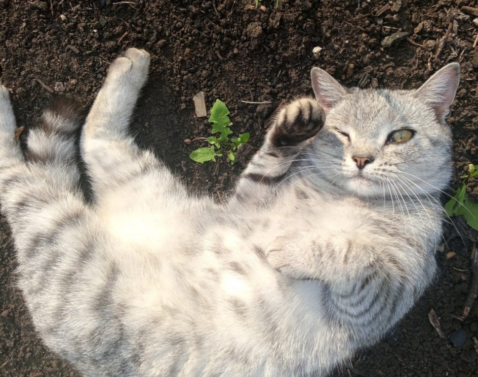 Под тёплыми лучами солнца