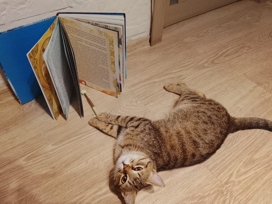 За чтением книги