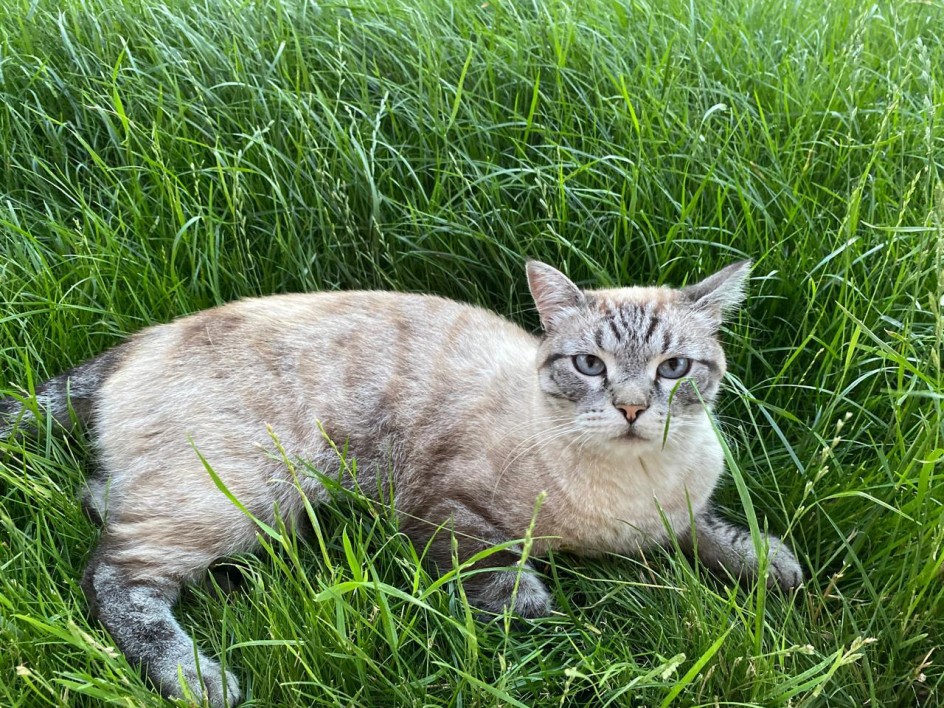 Наш младший