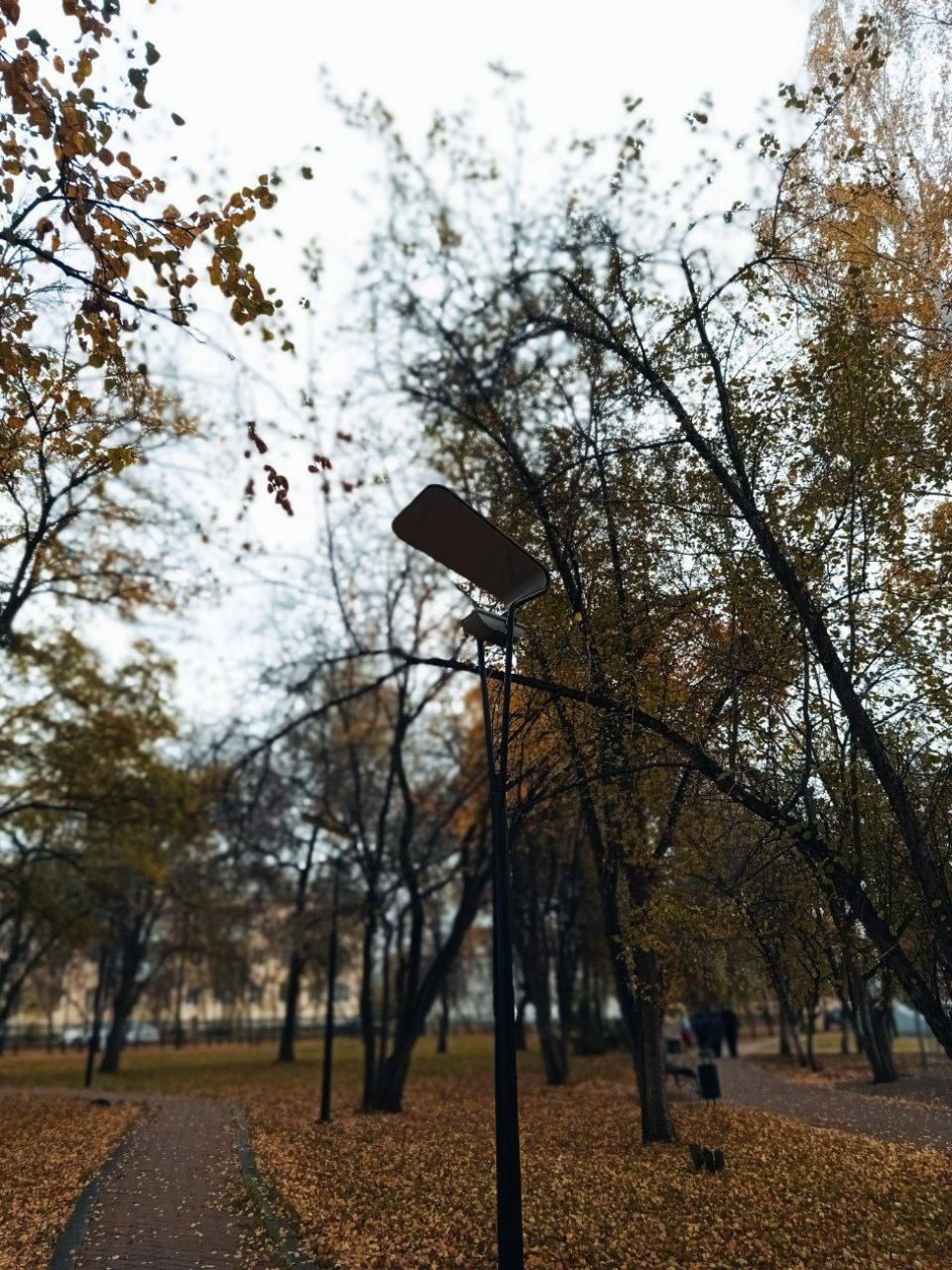 Осенний вдохновляющий сквер моего города